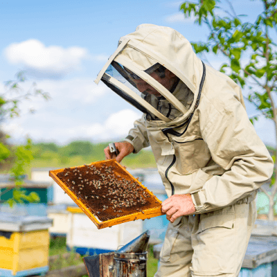 Preparation and inspection