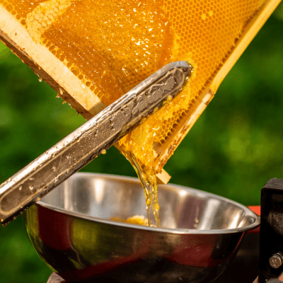 Extraction of honey